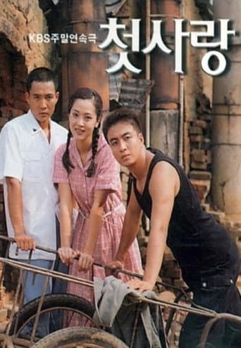 Pôster oficial do dorama First Love em português