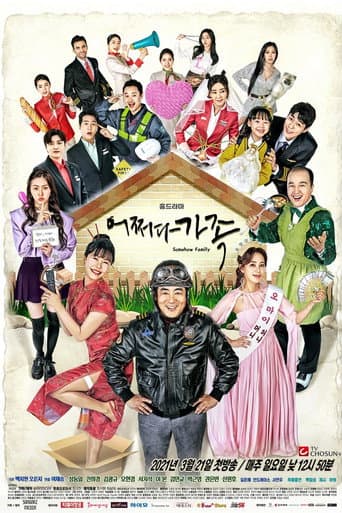 Pôster oficial do dorama Somehow Family em português