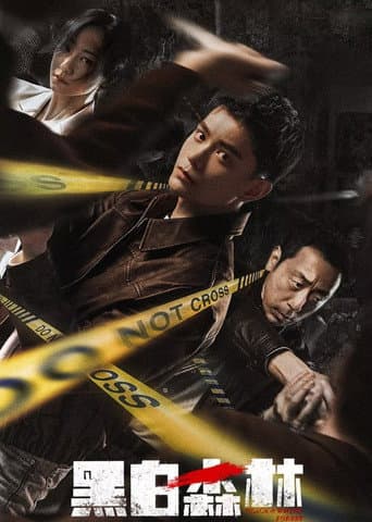 Pôster oficial do dorama Black & White Forest em português