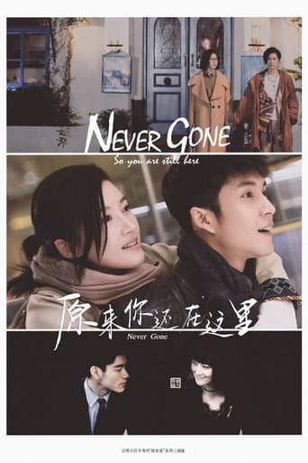 Pôster oficial do dorama Never Gone em português