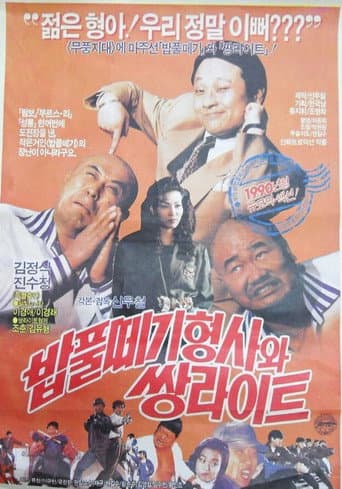 Pôster oficial do dorama The Doofus Detective And The Twin Light Brothers em português