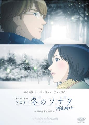 Pôster oficial do dorama Winter Sonata em português