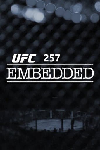 Pôster oficial do dorama UFC 257 Embedded em português