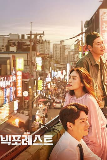 Pôster oficial do dorama Big Forest em português