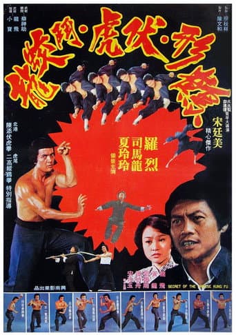 Pôster oficial do dorama Secret of Chinese Kung Fu em português