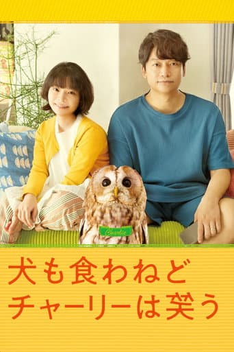 Pôster oficial do dorama Everything Will Be Owlright! em português