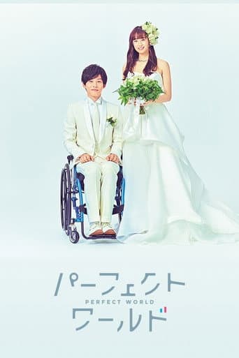 Pôster oficial do dorama Perfect World em português