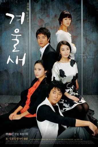 Pôster oficial do dorama Winter Bird em português