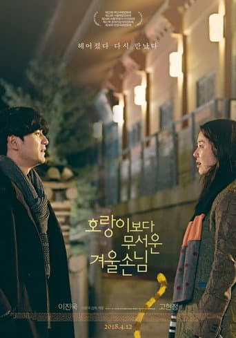 Pôster oficial do dorama A Tiger in Winter em português