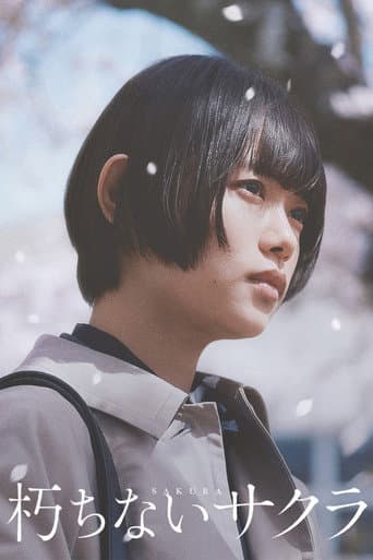 Pôster oficial do dorama Sakura em português