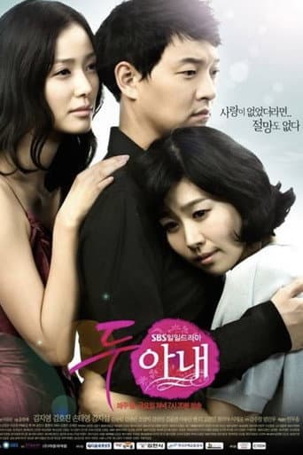 Pôster oficial do dorama Two Wives em português