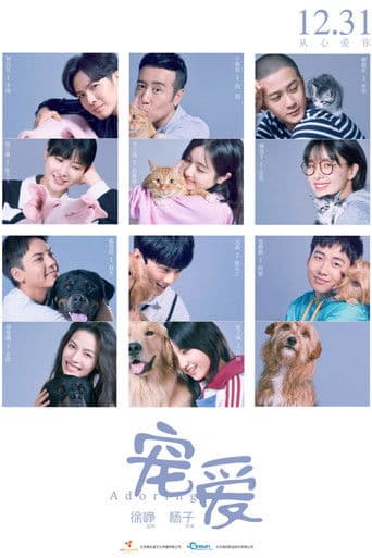 Pôster oficial do dorama Adoring em português