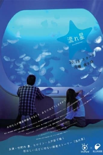 Pôster oficial do dorama Nagareboshi em português