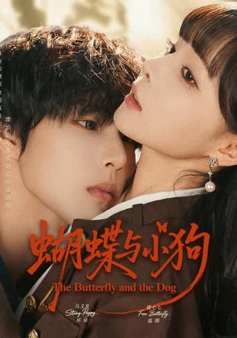 Pôster oficial do dorama 蝴蝶与小狗 em português