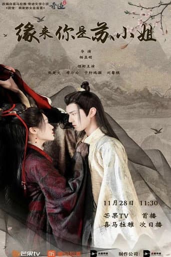Pôster oficial do dorama 缘来你是苏小姐 em português