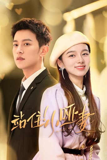 Pôster oficial do dorama My Lovely Wife em português