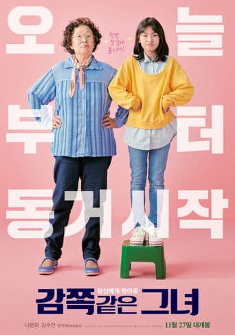 Pôster oficial do dorama A Little Princess em português