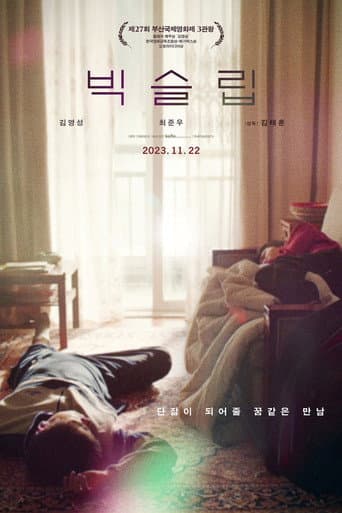 Pôster oficial do dorama Big Sleep em português