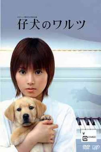 Pôster oficial do dorama Waltz of Her Heart em português