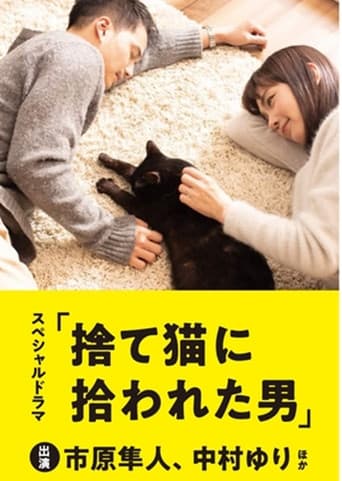 Pôster oficial do dorama The Man Who Got Picked Up by a Stray Cat em português