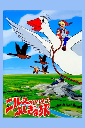 Pôster oficial do dorama The Wonderful Adventures of Nils em português